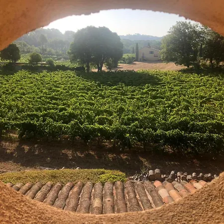 ベッド・アンド・ブレックファスト Domaine Du Clos D'alari-chambres D'hotes Au Milieu Des Vignes 3*