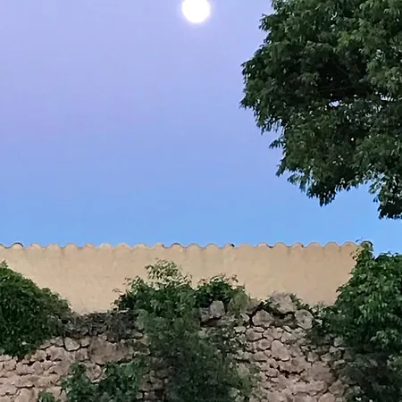 ベッド・アンド・ブレックファスト Domaine Du Clos D'alari-chambres D'hotes Au Milieu Des Vignes Saint-Antonin-du-Var