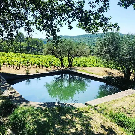 ベッド・アンド・ブレックファスト Domaine Du Clos D'alari-chambres D'hotes Au Milieu Des Vignes Saint-Antonin-du-Var