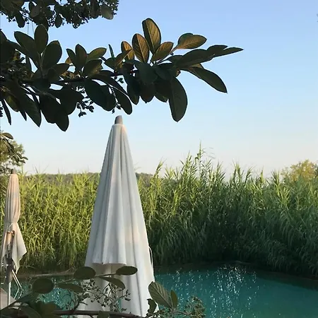 Domaine Du Clos D'alari-chambres D'hotes Au Milieu Des Vignes ベッド・アンド・ブレックファスト 3*