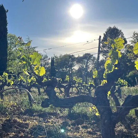 Domaine Du Clos D'alari-chambres D'hotes Au Milieu Des Vignes Saint-Antonin-du-Var